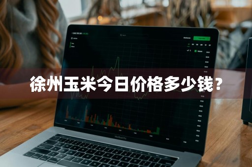 徐州玉米今日价格多少钱？
