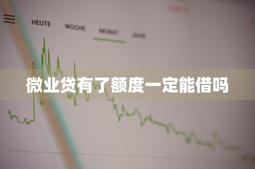 微业贷有了额度一定能借吗