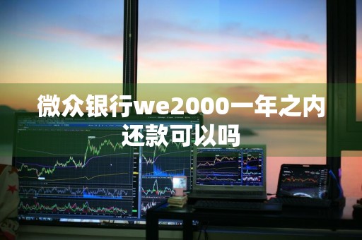 微众银行we2000一年之内还款可以吗