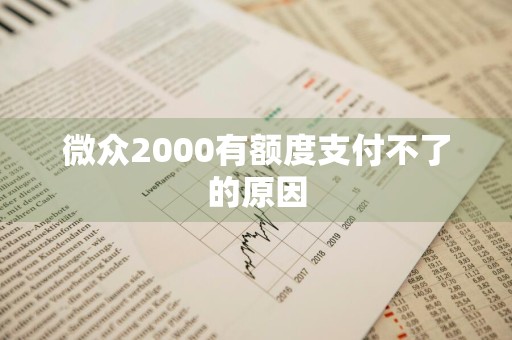 微众2000有额度支付不了的原因
