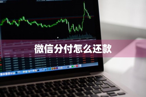 微信分付怎么还款