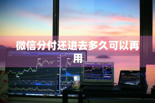 微信分付还进去多久可以再用
