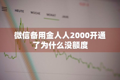 微信备用金人人2000开通了为什么没额度