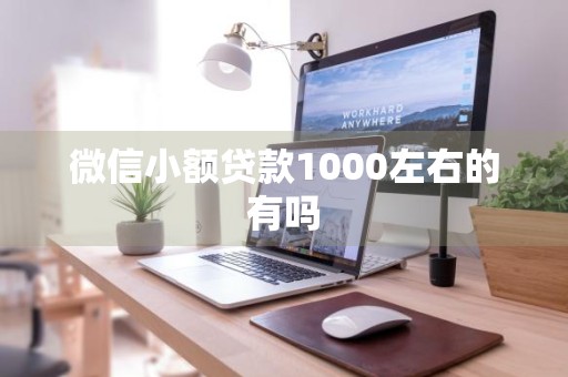微信小额贷款1000左右的有吗