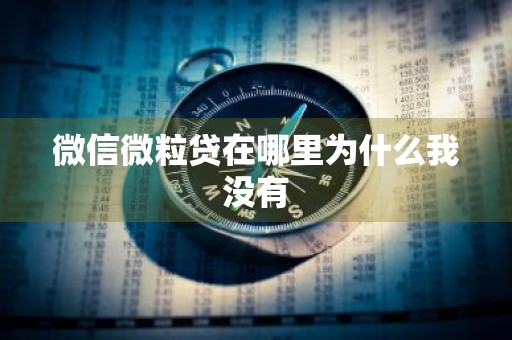 微信微粒贷在哪里为什么我没有
