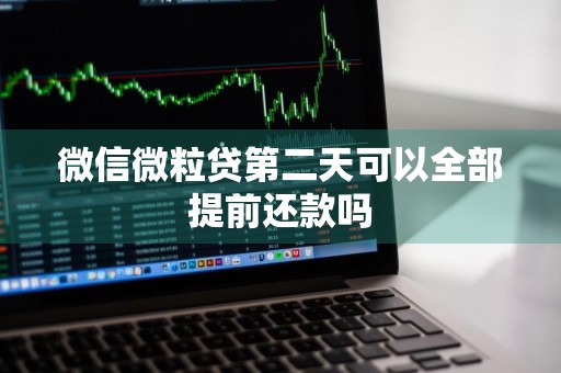微信微粒贷第二天可以全部提前还款吗
