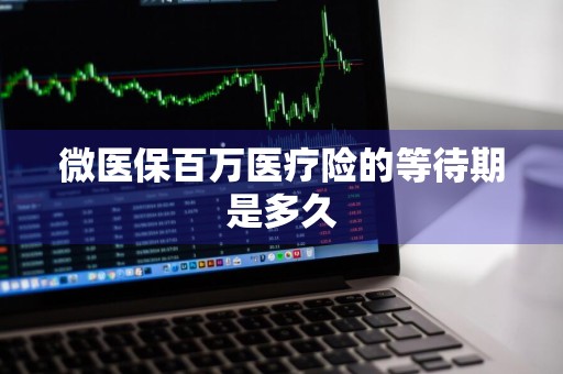 微医保百万医疗险的等待期是多久