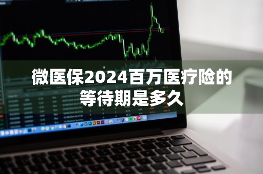 微医保2024百万医疗险的等待期是多久