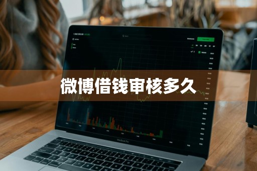 微博借钱审核多久