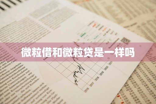 微粒借和微粒贷是一样吗