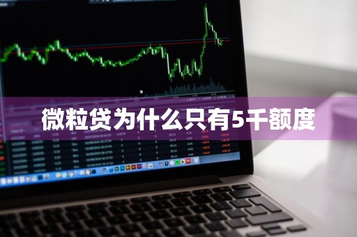 微粒贷为什么只有5千额度