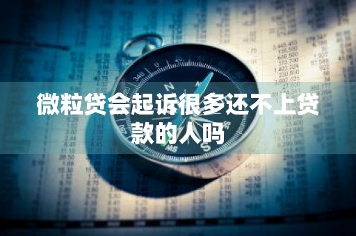 微粒贷会起诉很多还不上贷款的人吗