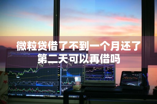 微粒贷借了不到一个月还了第二天可以再借吗