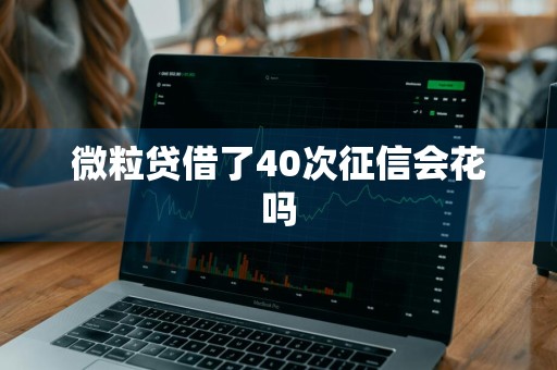 微粒贷借了40次征信会花吗