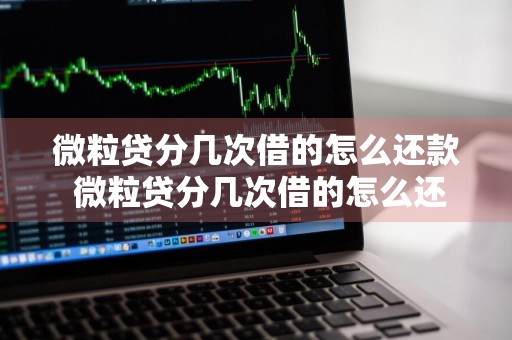 微粒贷分几次借的怎么还款 微粒贷分几次借的怎么还款啊
