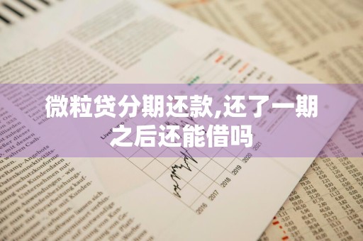 微粒贷分期还款,还了一期之后还能借吗