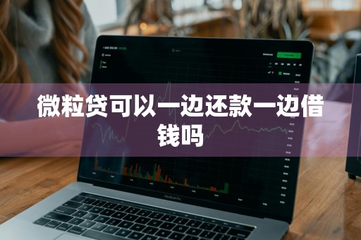 微粒贷可以一边还款一边借钱吗