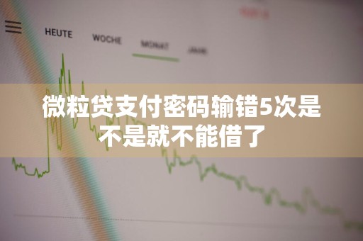 微粒贷支付密码输错5次是不是就不能借了