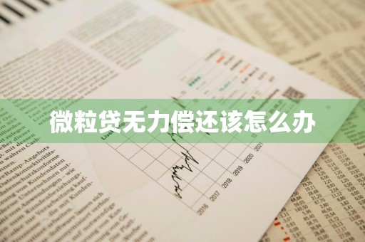 微粒贷无力偿还该怎么办