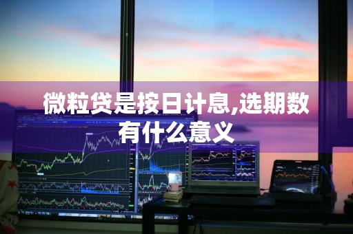 微粒贷是按日计息,选期数有什么意义