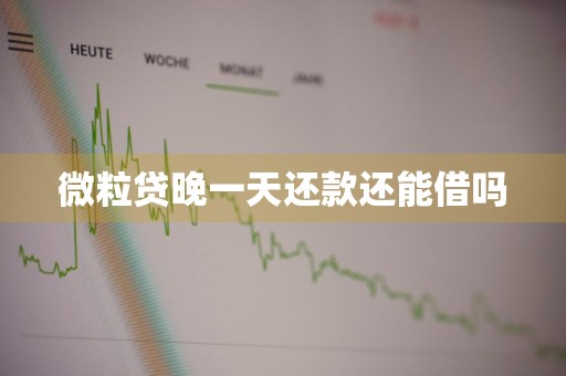 微粒贷晚一天还款还能借吗