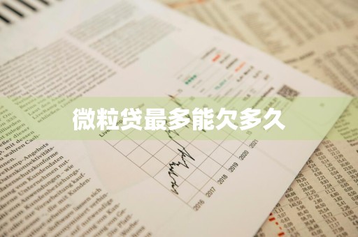 微粒贷最多能欠多久