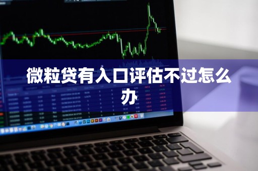 微粒贷有入口评估不过怎么办