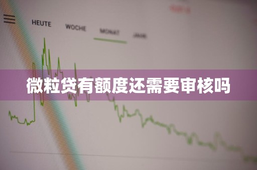 微粒贷有额度还需要审核吗