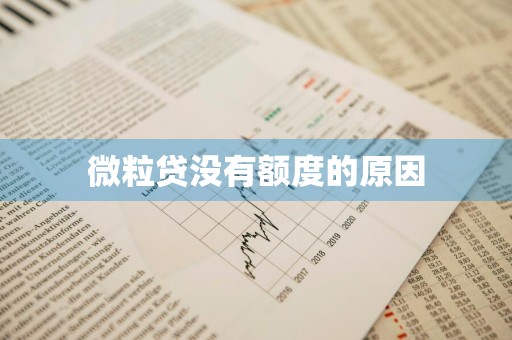 微粒贷没有额度的原因