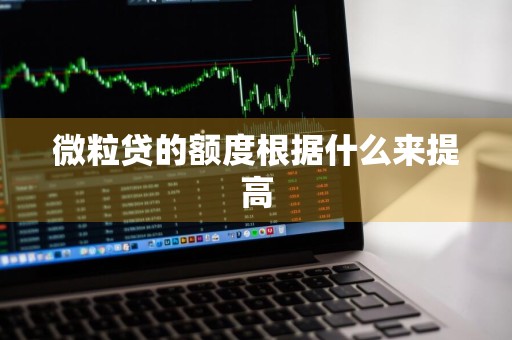 微粒贷的额度根据什么来提高