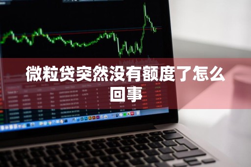 微粒贷突然没有额度了怎么回事