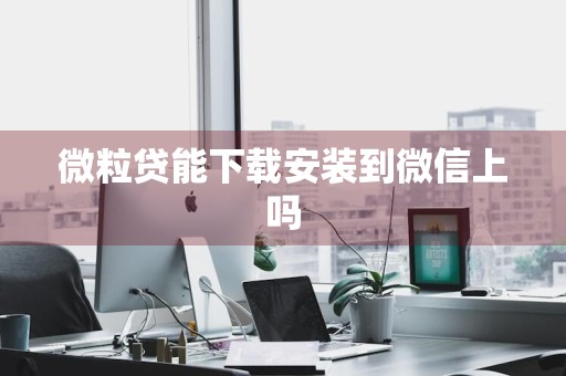 微粒贷能下载安装到微信上吗