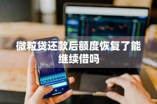 微粒贷还款后额度恢复了能继续借吗