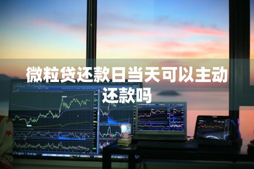 微粒贷还款日当天可以主动还款吗