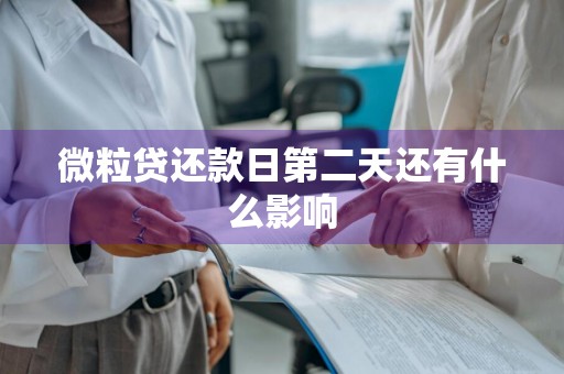 微粒贷还款日第二天还有什么影响