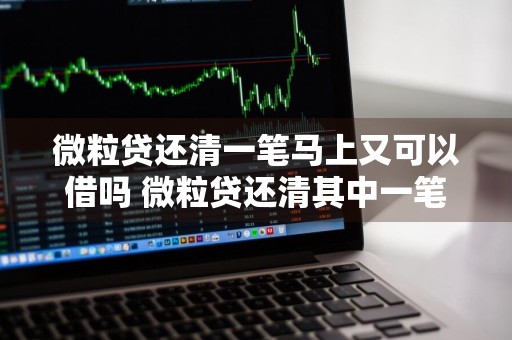微粒贷还清一笔马上又可以借吗 微粒贷还清其中一笔后可以再借吗?