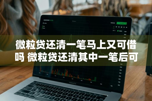 微粒贷还清一笔马上又可借吗 微粒贷还清其中一笔后可以再借吗?