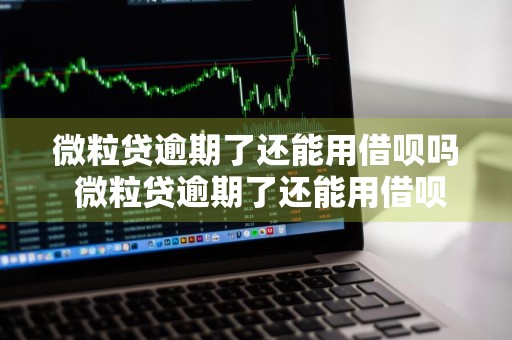 微粒贷逾期了还能用借呗吗 微粒贷逾期了还能用借呗吗