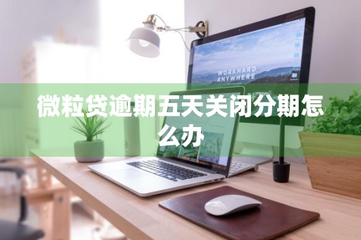 微粒贷逾期五天关闭分期怎么办