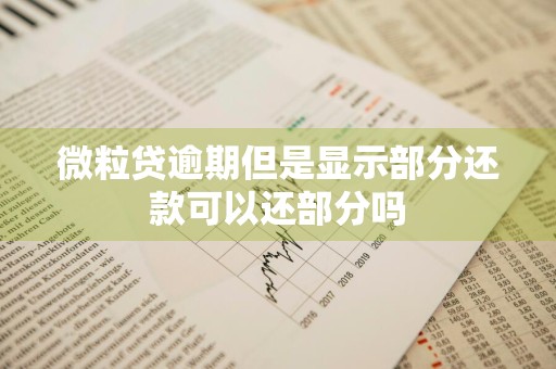 微粒贷逾期但是显示部分还款可以还部分吗