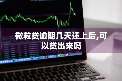 微粒贷逾期几天还上后,可以贷出来吗