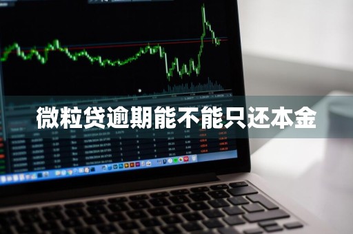 微粒贷逾期能不能只还本金