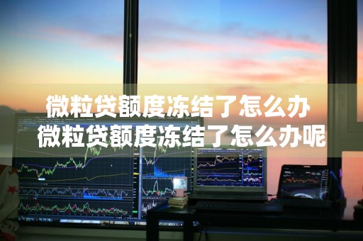 微粒贷额度冻结了怎么办 微粒贷额度冻结了怎么办呢