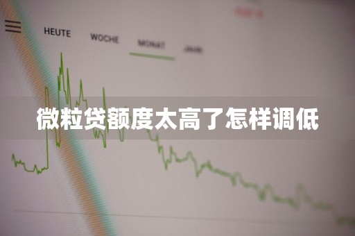 微粒贷额度太高了怎样调低