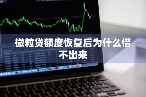 微粒贷额度恢复后为什么借不出来