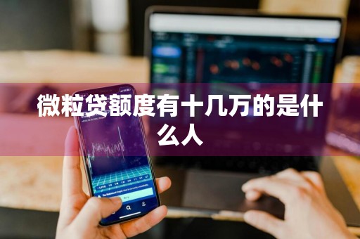 微粒贷额度有十几万的是什么人