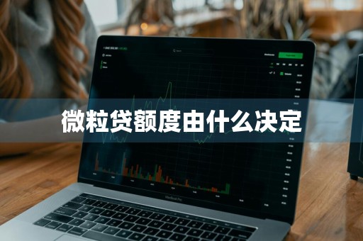 微粒贷额度由什么决定