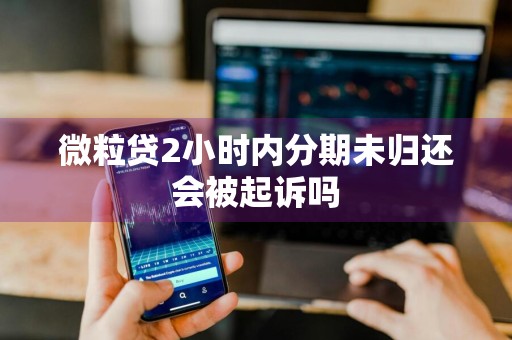 微粒贷2小时内分期未归还会被起诉吗