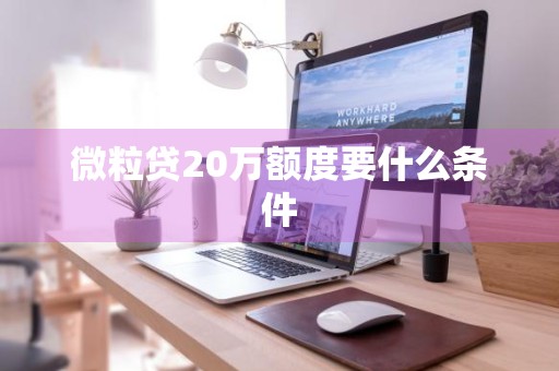 微粒贷20万额度要什么条件