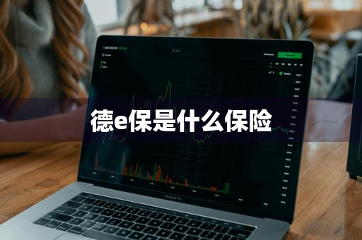 德e保是什么保险